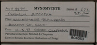 Image Associated With the Occurence